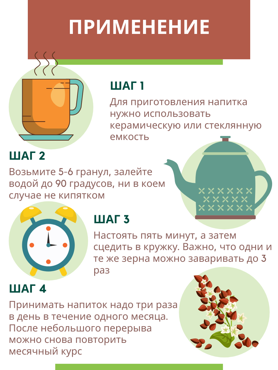 Гречишный чай: польза и вред, состав, свойства, как заваривать и пить