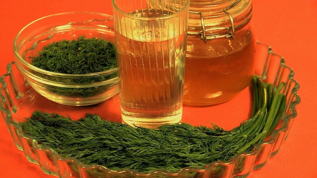Морковный чай из ботвы как приготовить польза и вред