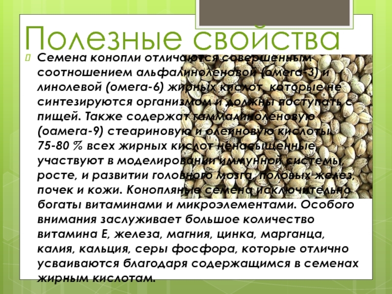 Витамины конопля красноярск сибсемена каталог опт брянская