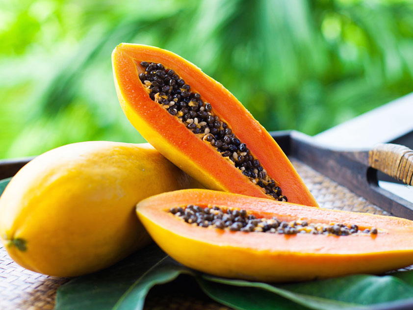 Сушеная папайя: польза и вред для организма, калорийность. цукаты из папайи