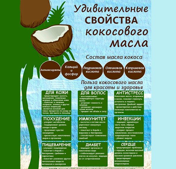 Кокос: пищевая ценность, полезные свойства и применение