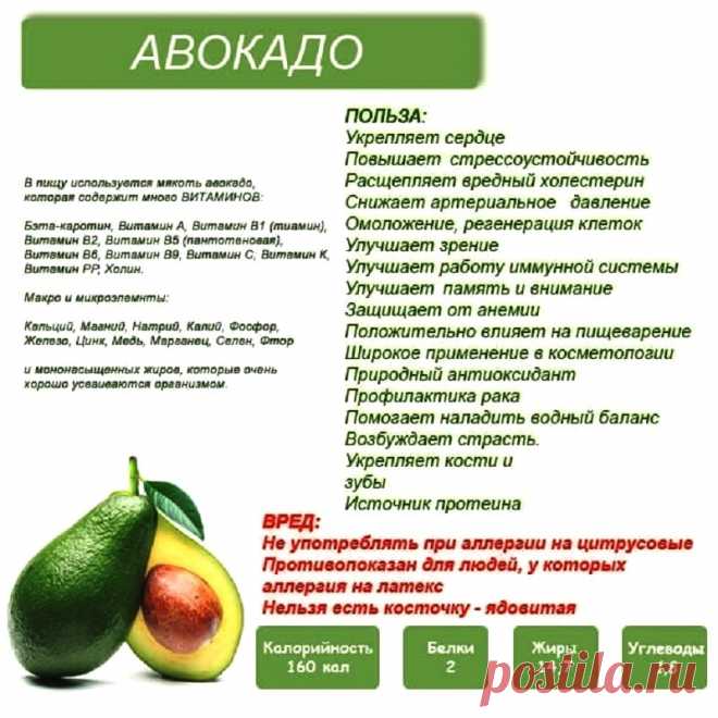 Полезные свойства авокадо для организма: самая полноценная пища на планете?