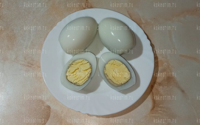 Гусиные яйца польза и вред: едят ли их или нет, чем они полезны