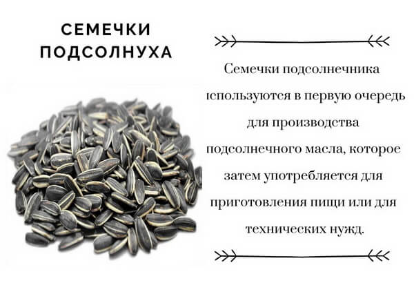 При каких заболеваниях нельзя есть семечки подсолнечника – minproduct.ru