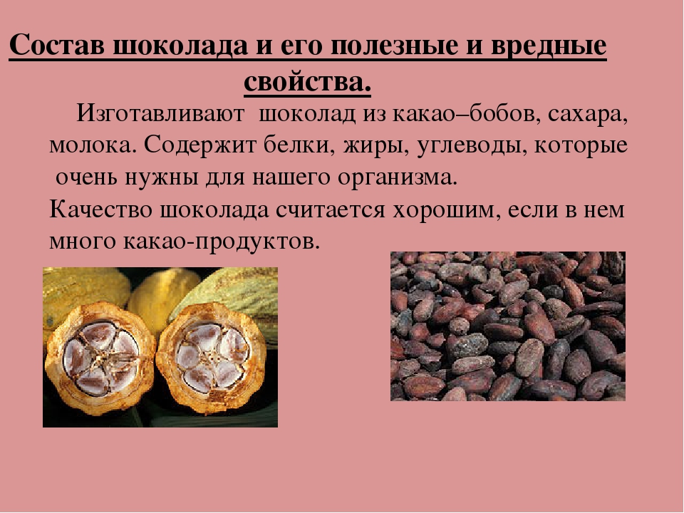 Какао-бобы: польза, вред и калорийность | food and health