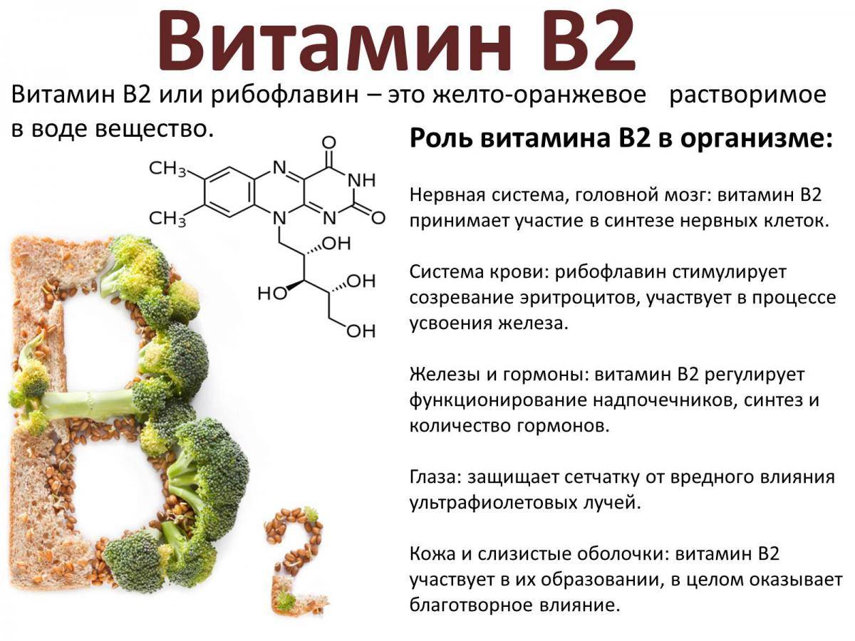 Всё о витамине к-2 / информация, описание, препараты и добавки витамина мк7 и к2 - обзор и сравнение