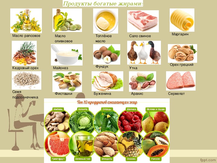 Жиры в организме, в каких продуктах содержится больше всего – эл клиника