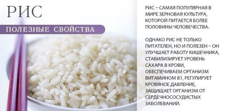 Польза и вред риса — 5 доказанных свойств для здоровья организма, а также противопоказания и состав каши