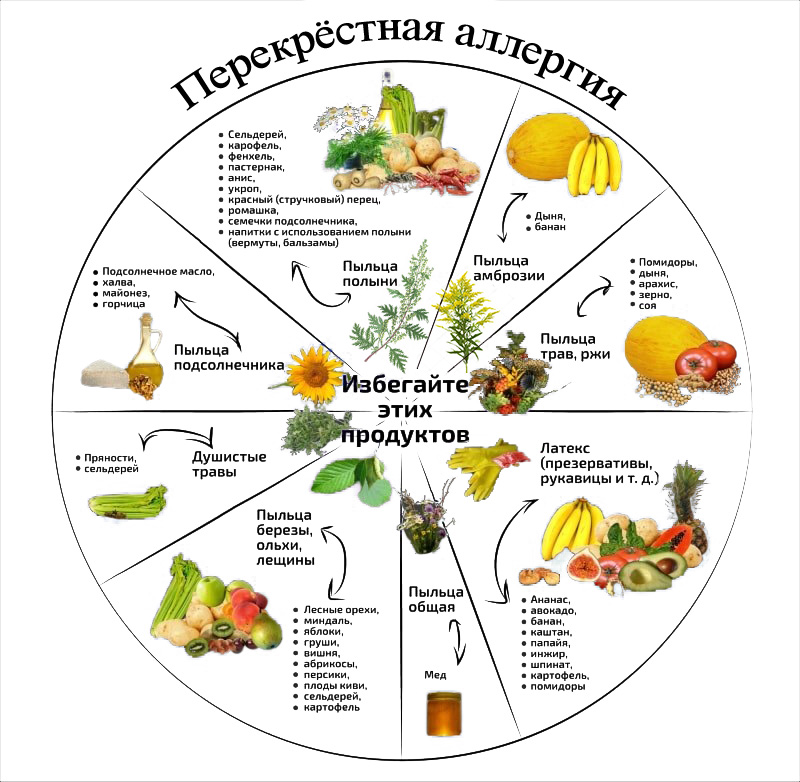 Сезонные продукты питания в россии по месяцам – список топ-12