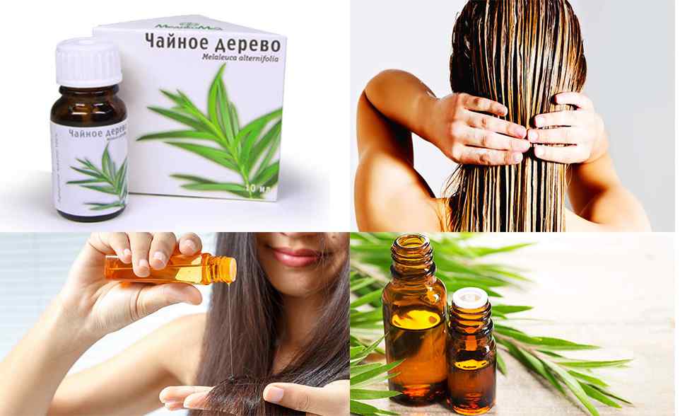 » 5 способов применения масла чайного дерева для волос