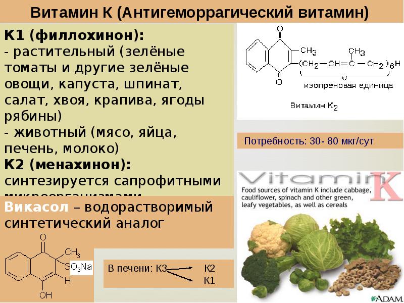 Витамин к1: фитоменадион | food and health