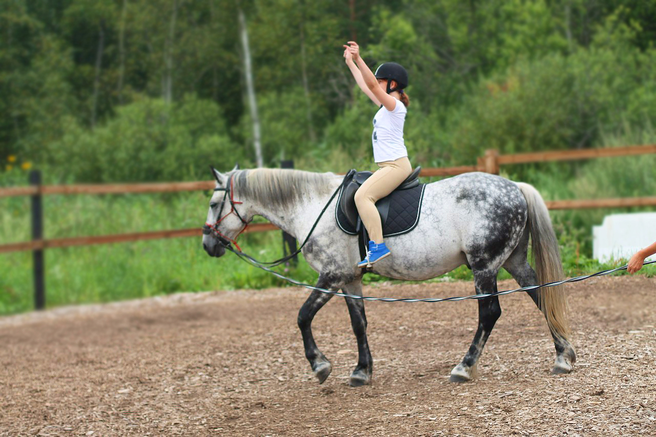 Иппотерапия. какие болезни лечит верховая езда на лошади