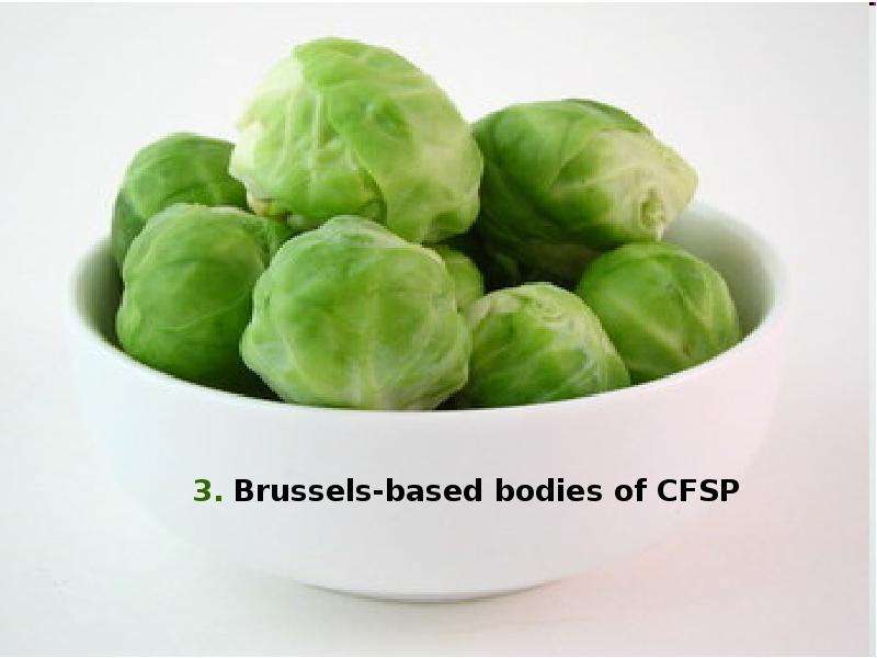 Брюссельская капуста – выращивание и уход в открытом грунте