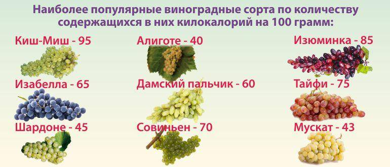 Виноград. состав химический, что содержится, полезные свойства, витамины, пищевая ценность по сортам, кому употреблять