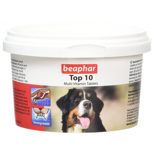 Пробиотики для собак – мелких, средних, крупных пород, для щенков, название препаратов, список лучших