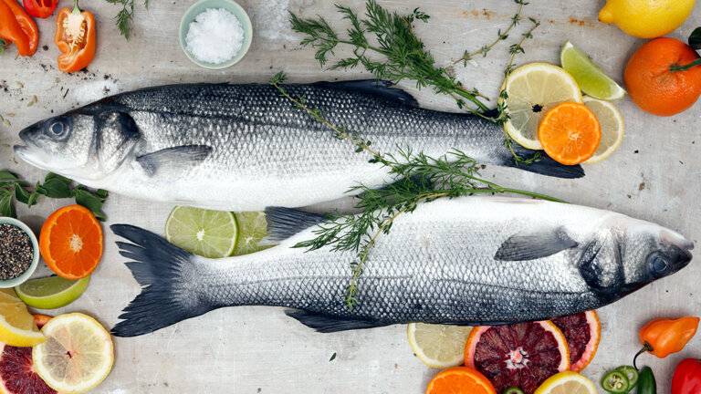 Польза и вред морской рыбы сибас