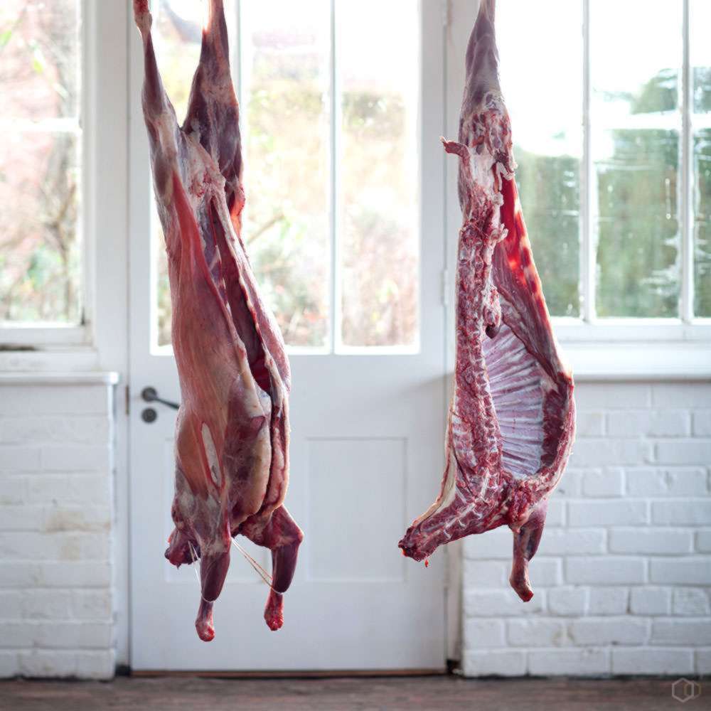 Польза козьего мяса, правила приготовления и влияние на организм человека