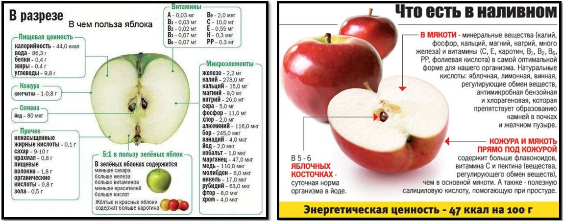 Сколько калорий в яблоке – изучаем привычный фрукт под микроскопом