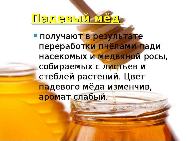 Падевый мед – что это такое, как отличить от цветочного, как определить в домашних условиях? падевый мед – польза и вред