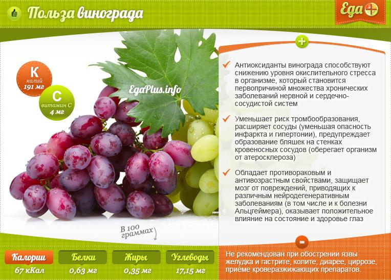 Виноград — польза и вред для здоровья организма человека, свойства и противопоказания