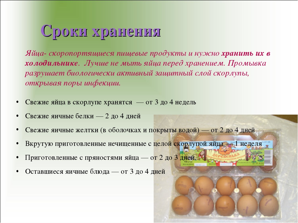 Сколько хранятся вареные яйца в холодильнике и при комнатной температуре? срок годности вареных яиц в скорлупе и очищенных
