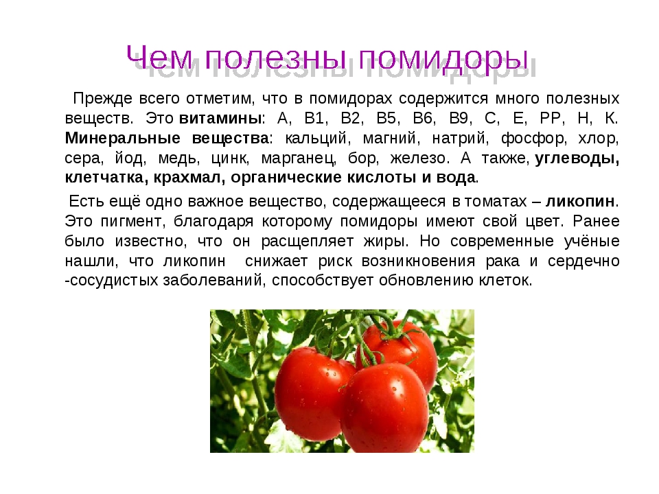 Помидоры черри: польза и вред для организма, калорийность и бжу, описание состава и полезные свойства томатов при похудении