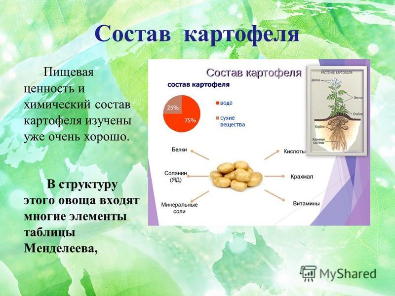Полезные свойства и пищевая ценность картофеля :: syl.ru