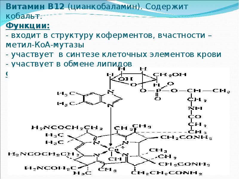 Анализ крови на витамины группы b (b1, b2, b3, b5, b6, b9, b12)