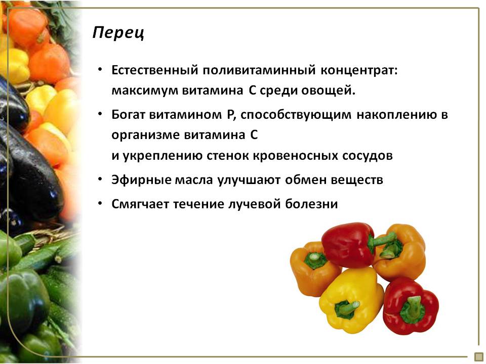 Болгарский перец. полезные свойства и вред сладкого перца