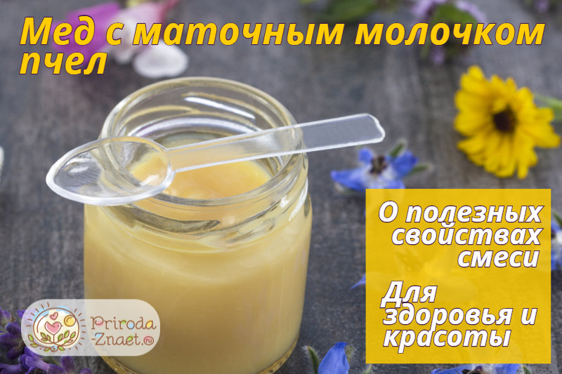 Мед с маточным молочком: полезные свойства, как отличить подделку