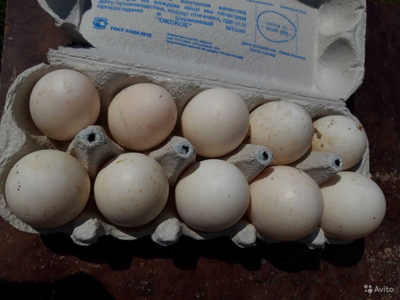 Утиные яйца: стоит ли включать в меню необычный продукт