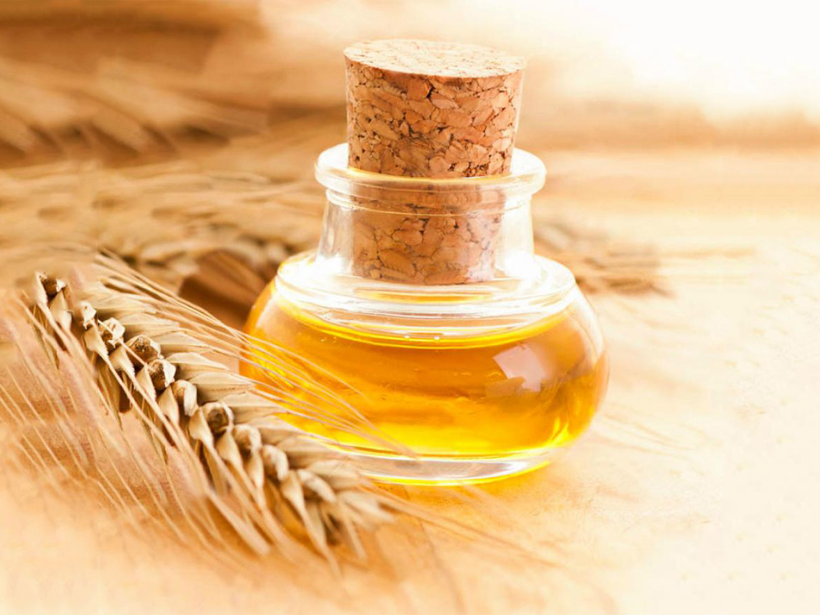 Пророщенная пшеница: польза и вред продукта | food and health