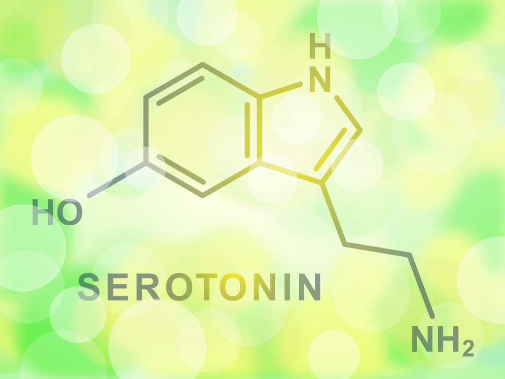 Как приучить мозг вырабатывать серотонин?