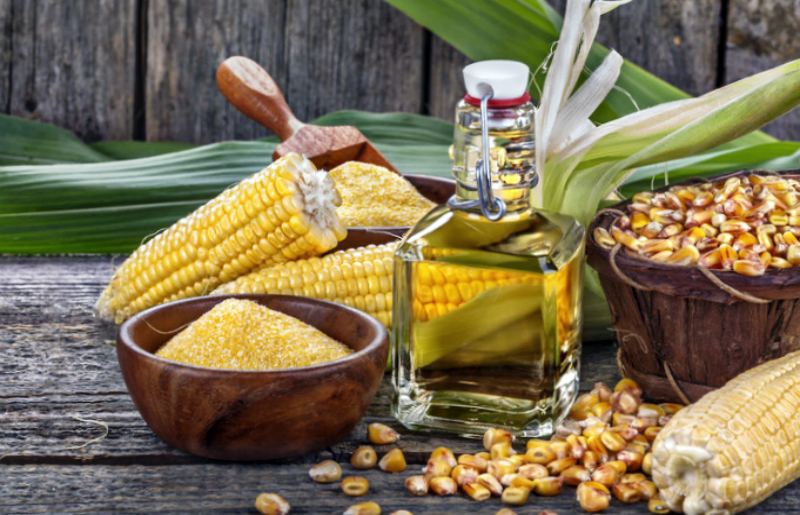 Польза и вред кукурузного масла для организма человека, применение в кулинарии и лечебных целях