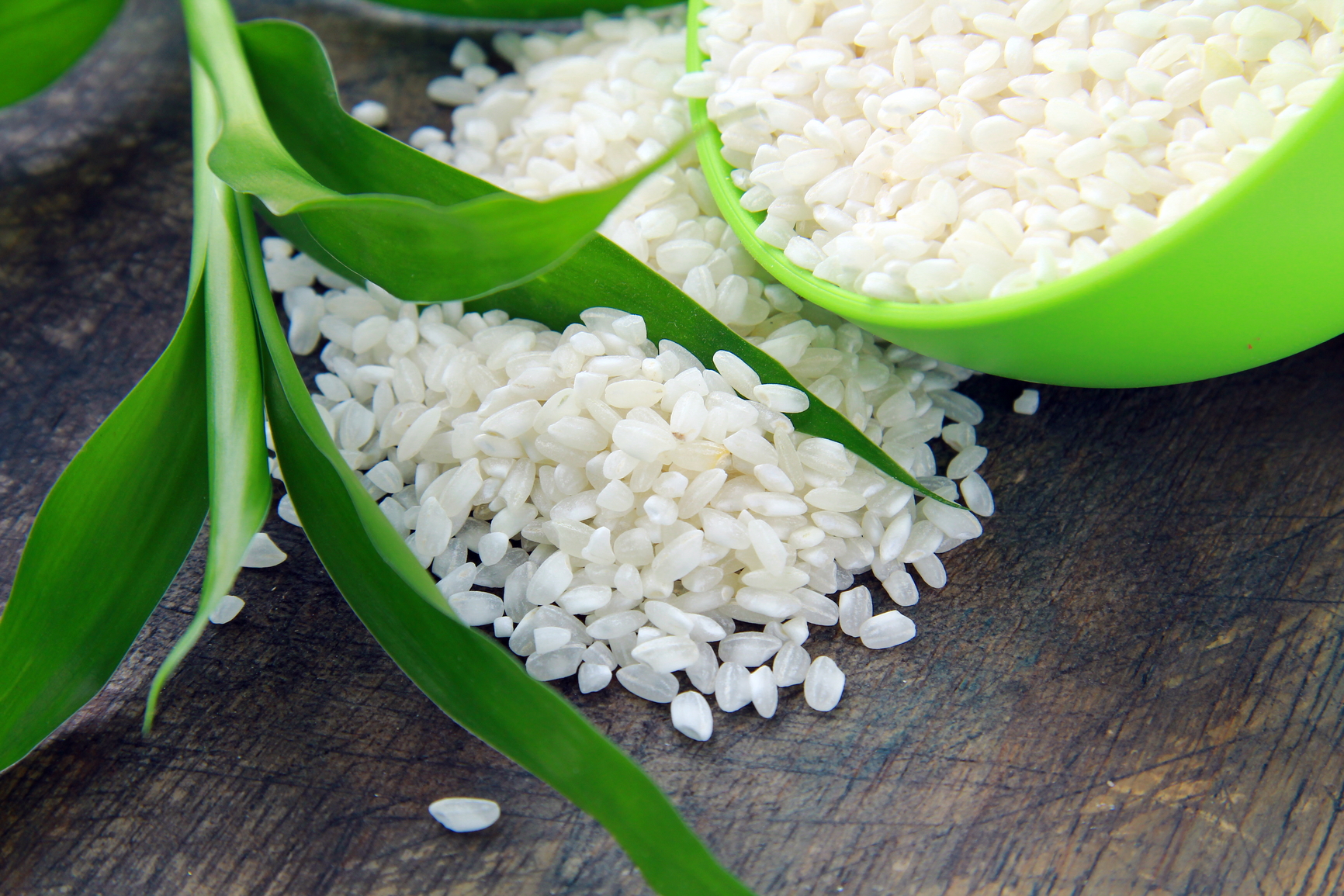 Лечебные свойства риса | волшебная eда.ру
