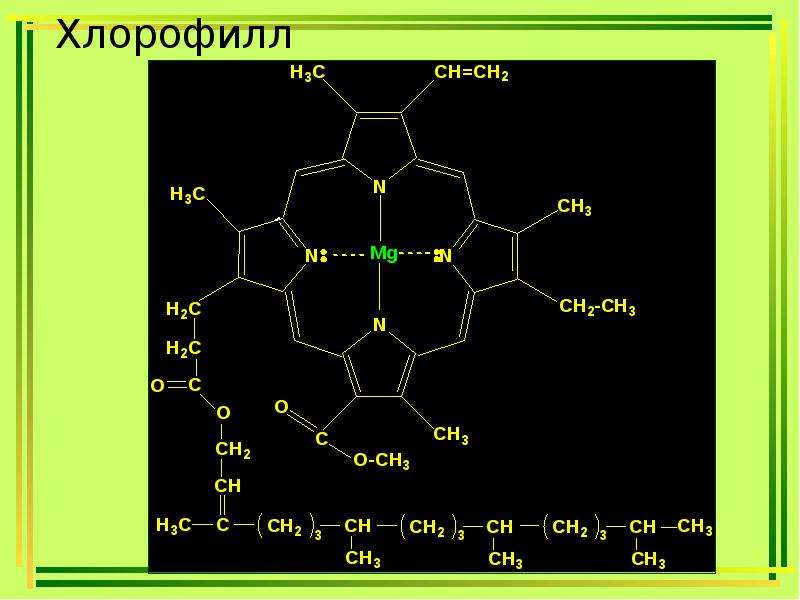 Медные комплексы хлорофиллов и хлорофиллинов е141. пищевая добавка хлорофилла медные комплексы (e141) | здоровье человека