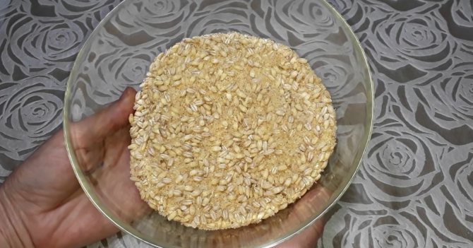 Живой талкан: польза и вред муки из пророщенного зерна