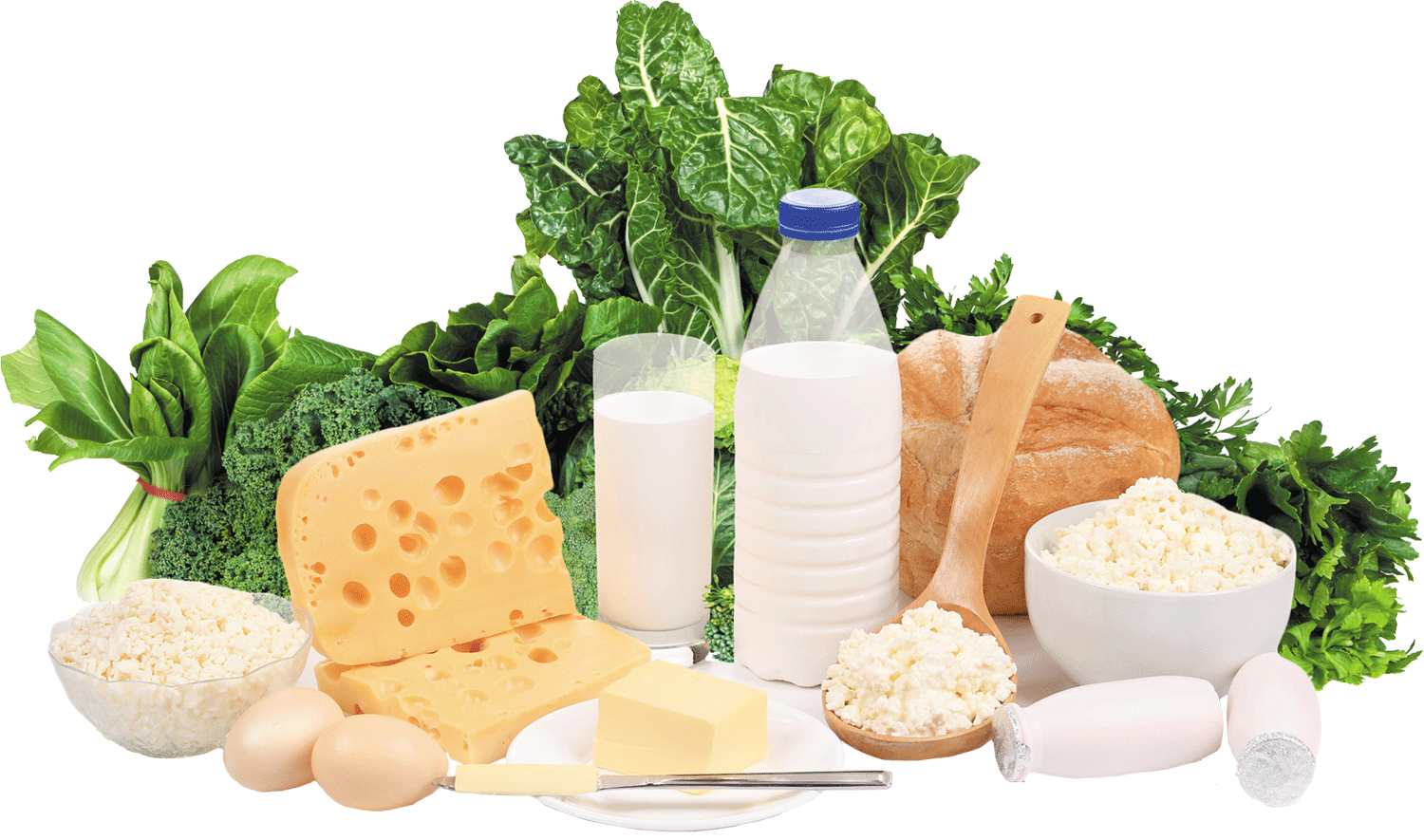 Alimentos con calcio para osteoporosis