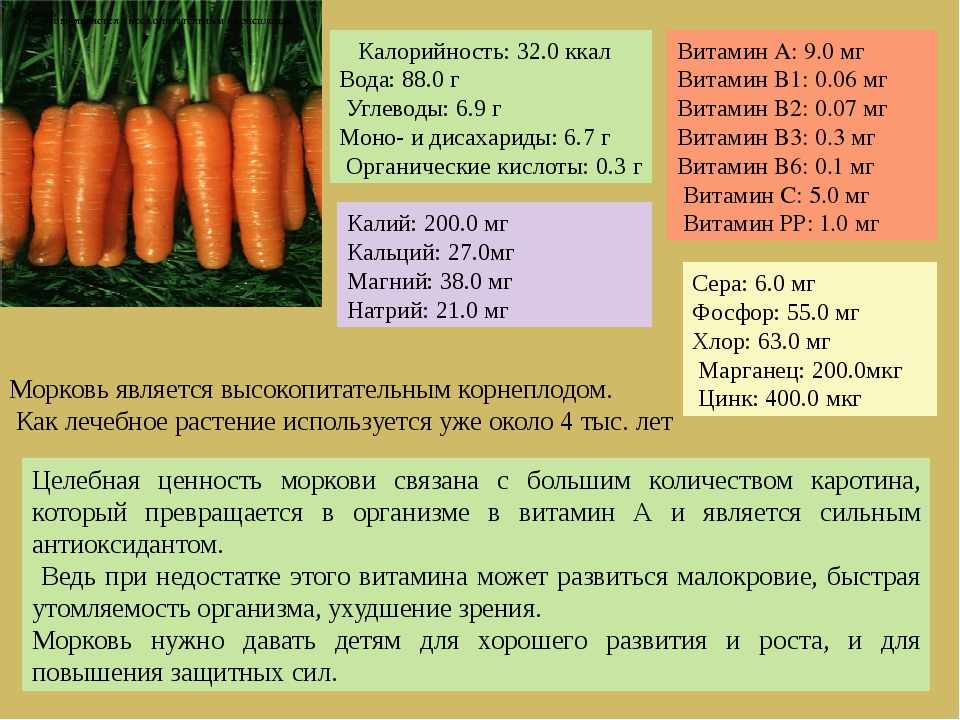 Потрясающие факты чем полезна морковь