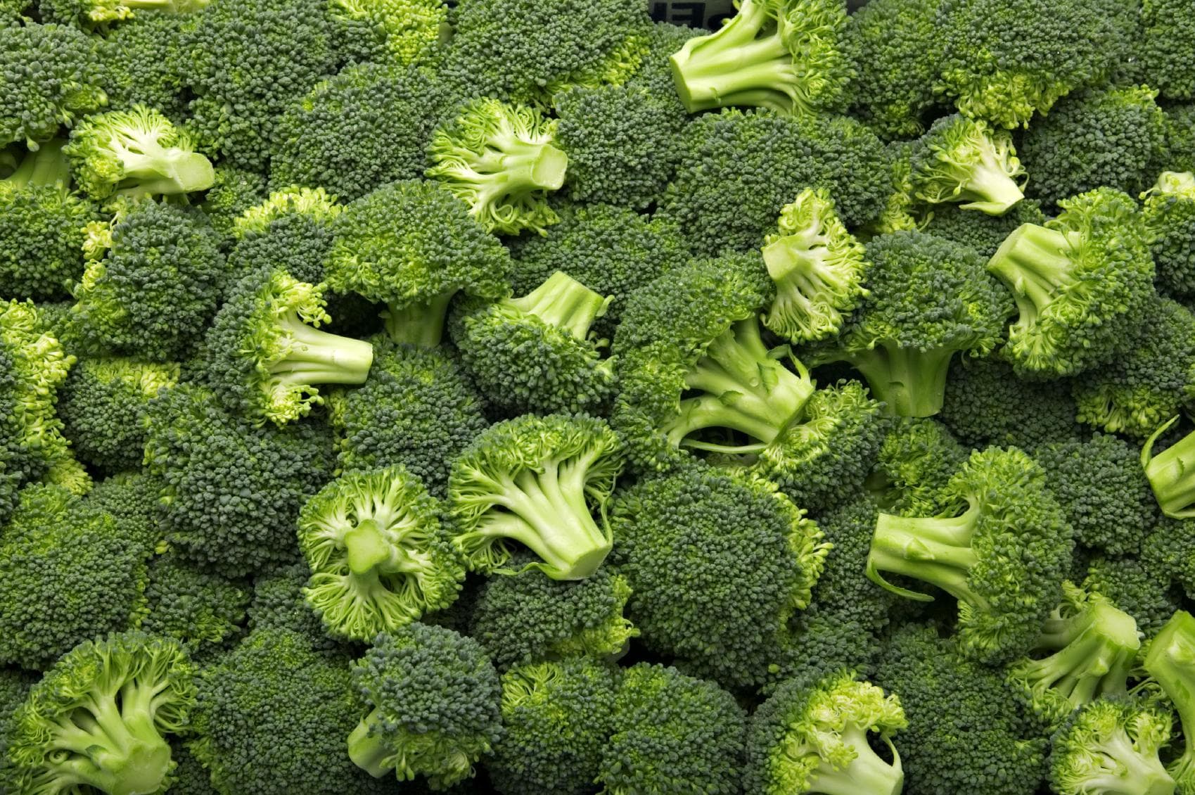 Капуста брокколи: калорийность и содержание белков, жиров, углеводов