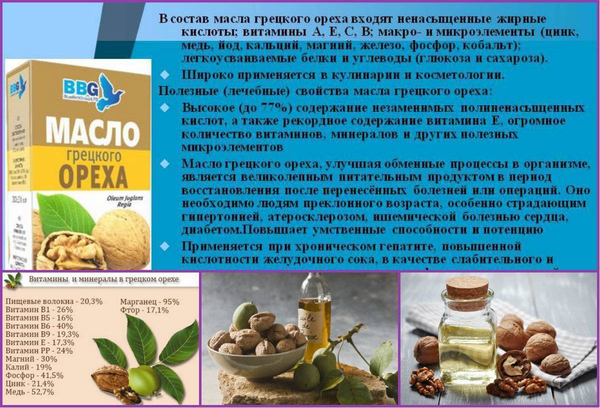 Макадамия - описание растения и ореха, полезные и вредные свойства, состав, калорийность, фото