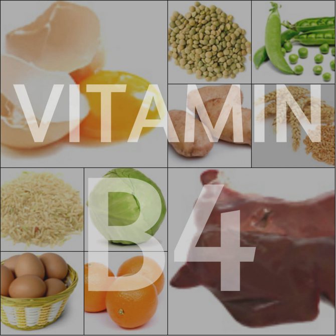 Витамин в12 - в каких продуктах содержится?