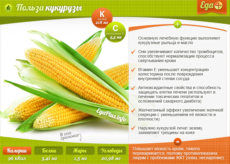 Польза и вред кукурузы, лечебные свойства кукурузных рылец