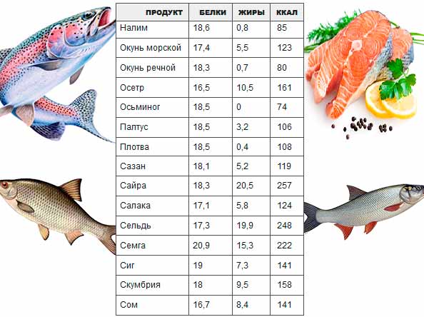 Судак (рыба) - калорийность, состав, полезные свойства, как приготовить судака.