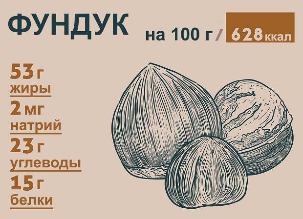 Орех фундук: калорийность на 100 грамм, в 1 шт., польза, вред, бжу
