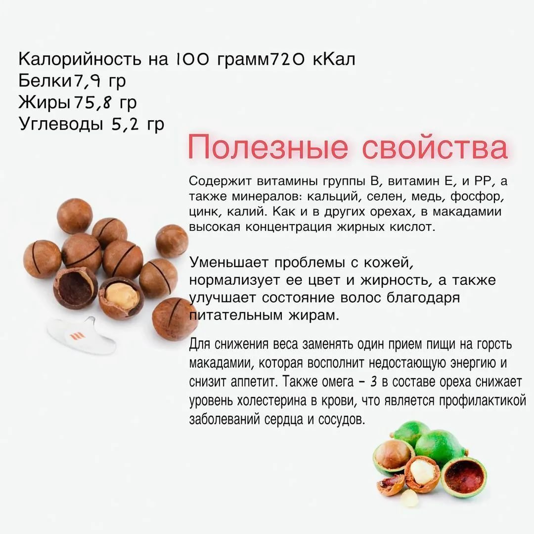 Орех макадамия – польза и вред, полезные свойства и противопоказания