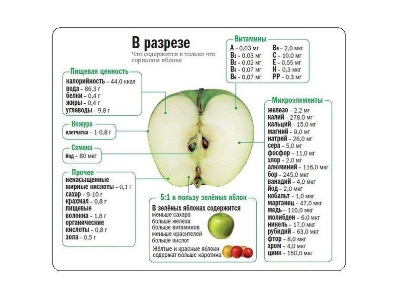 Яблоко - калорийность, полезные свойства, польза и вред, описание