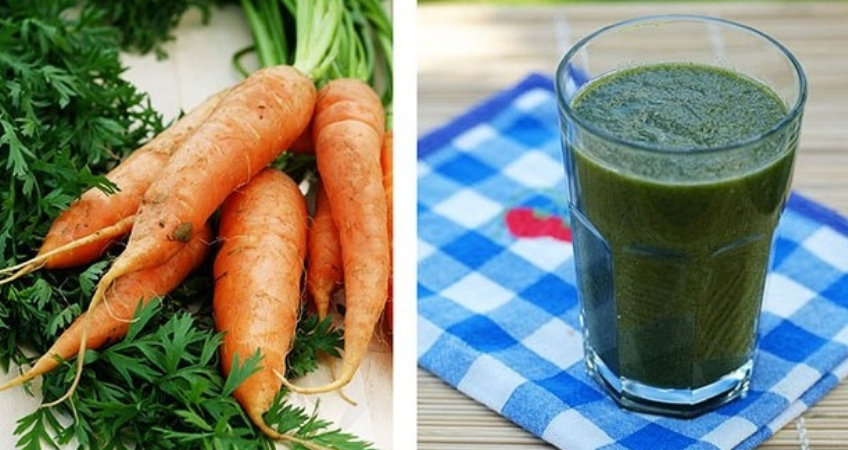 Ботва моркови: польза и вред для здоровья | польза и вред