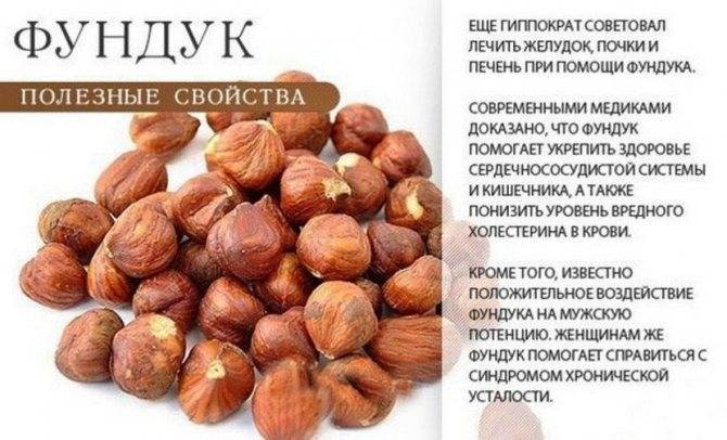 Польза ореха макадамия для организма