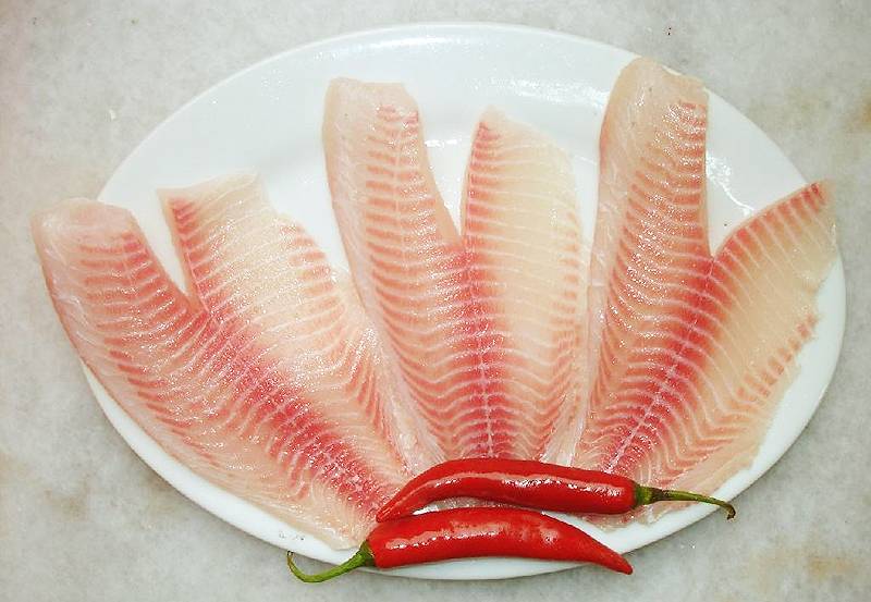 Рыба тилапия. польза и вред, где водится, жирная или нет, калорийность на 100 грамм, как приготовить